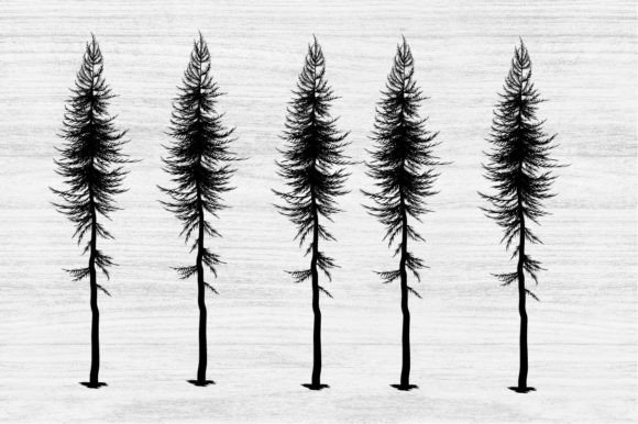 Download Pine Trees Silhouettes - Silhouette Collection